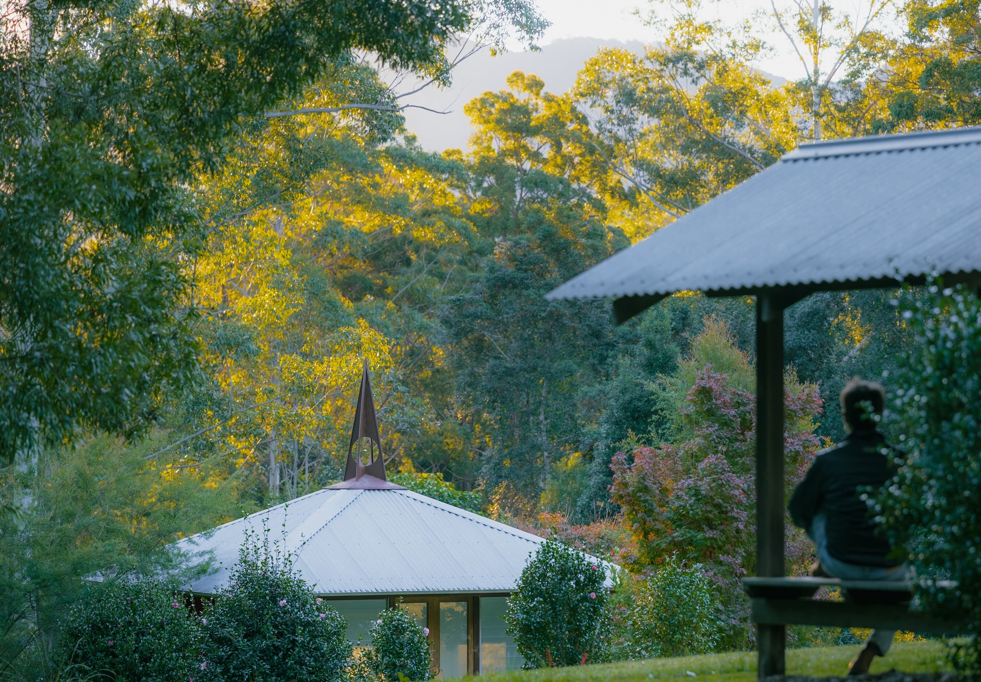 Radical Healing - The Cosmotron (1)