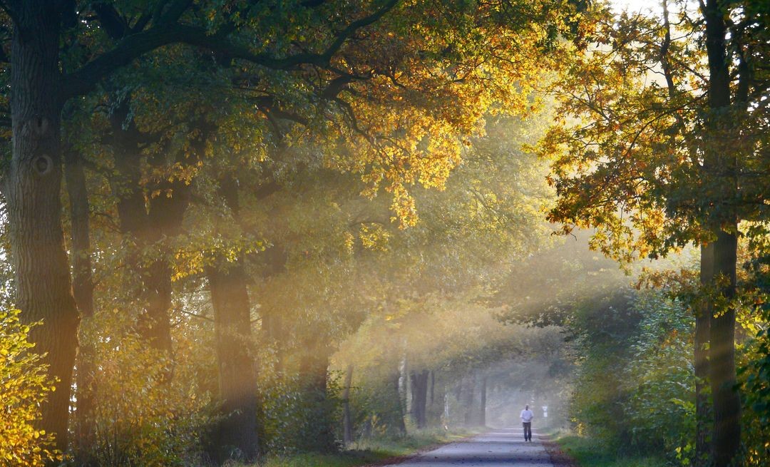 Sacred Ordinary - Is this work for me?